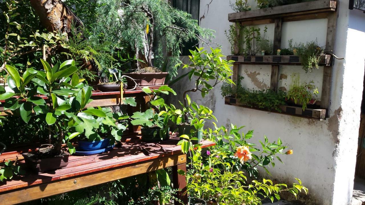 فندق Casa كويمبرا المظهر الخارجي الصورة