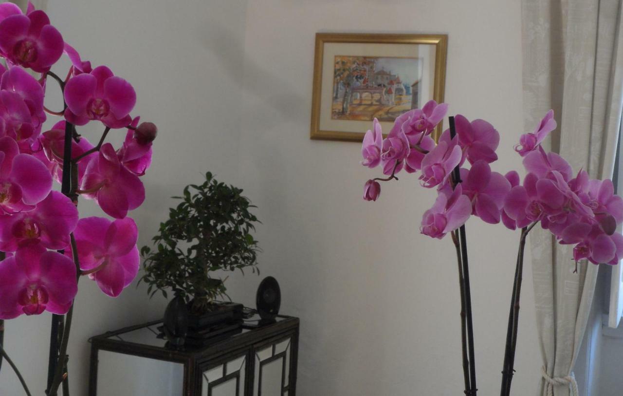 فندق Casa كويمبرا المظهر الخارجي الصورة
