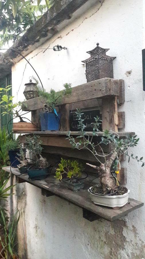 فندق Casa كويمبرا المظهر الخارجي الصورة