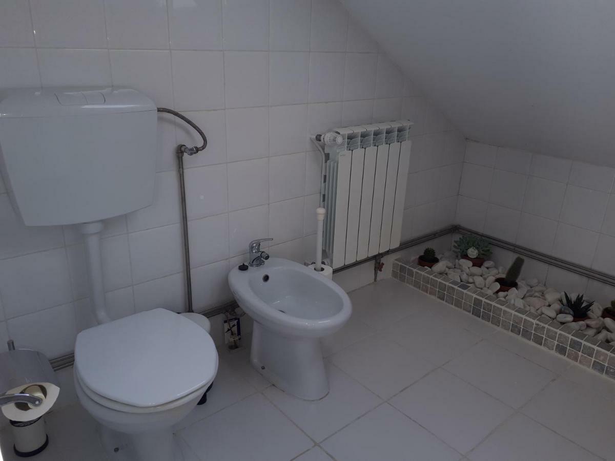 فندق Casa كويمبرا المظهر الخارجي الصورة